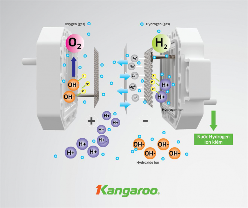  NƯỚC HYDROGEN ION KIỀM (2)